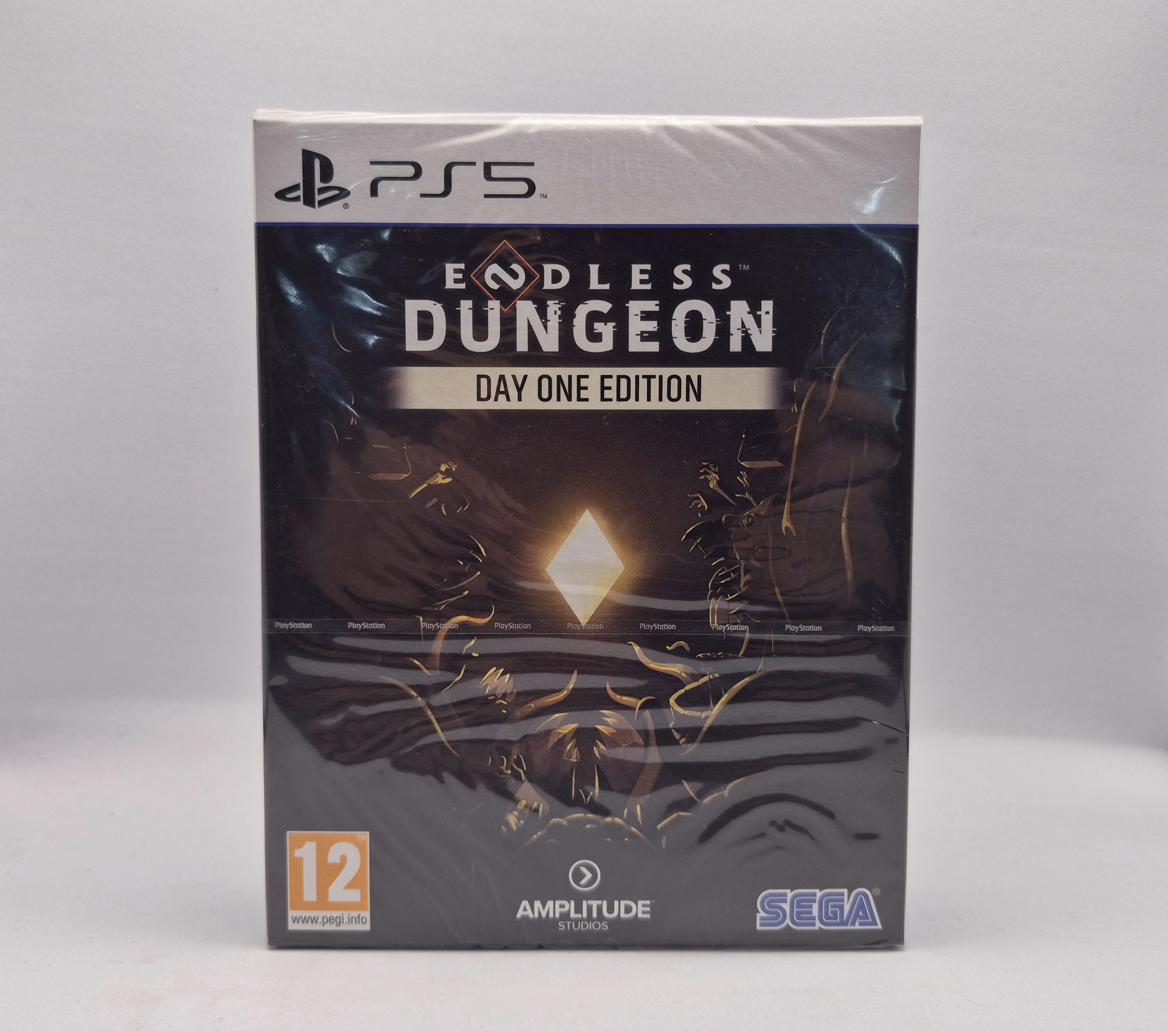 Endless Dungeon Day One Edition - PS5