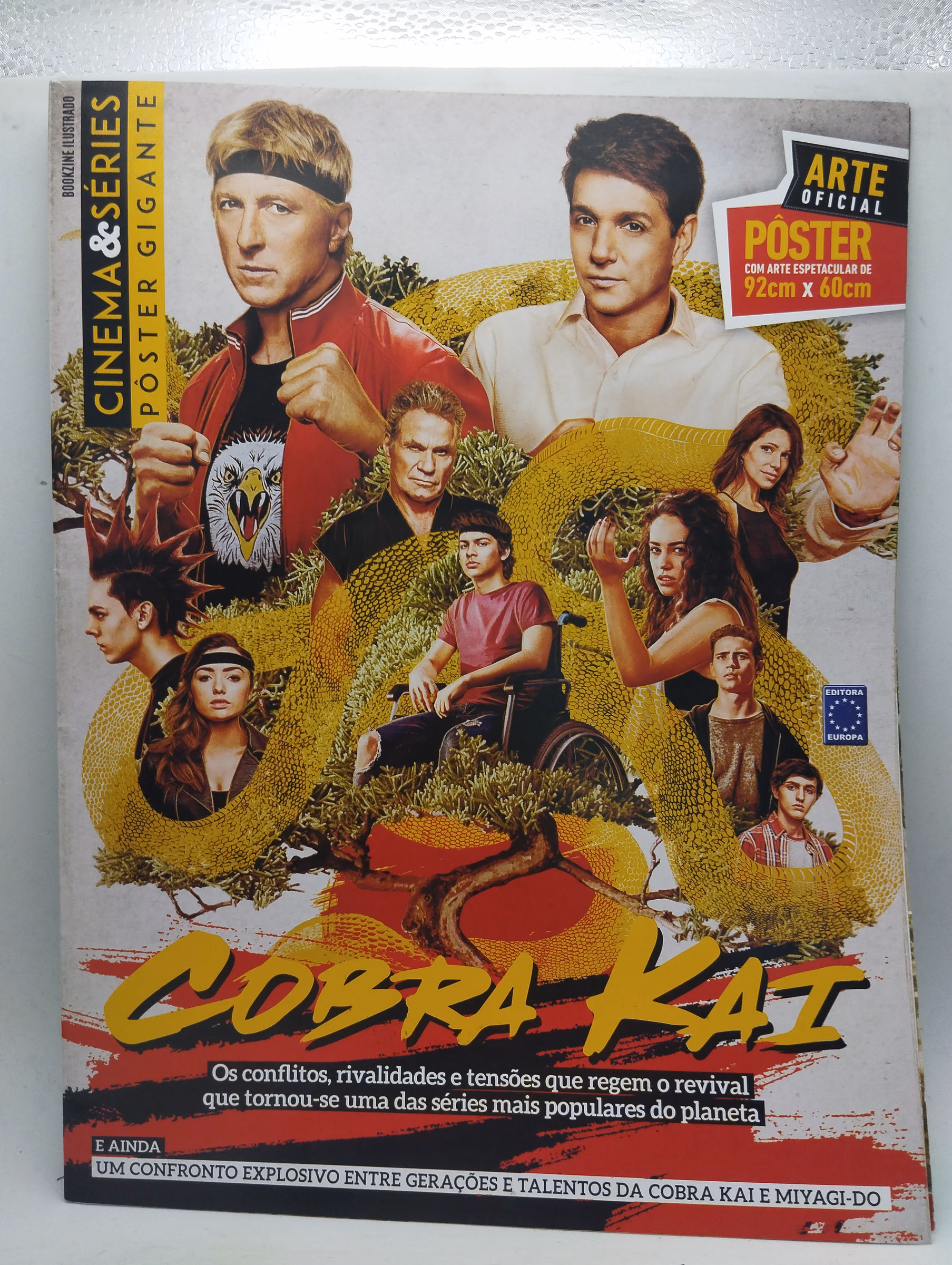 Cobra Kai - Revista Pôster